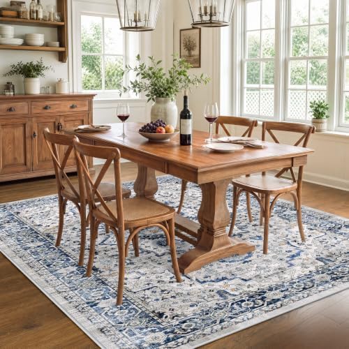 SameBed 5x7 Area Rug Living Room, Vintage Washable Carpet Light Blue