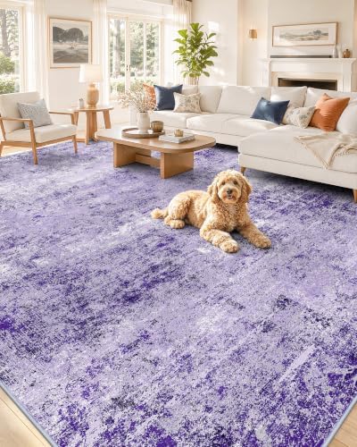 OLANLY 6x9 Washable Area Rug, Soft Non Slip Carpet for Bedroom Living Room