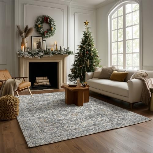 Machine Washable Rugs for Living Room: 5x7 Area Rugs for Bedroom
