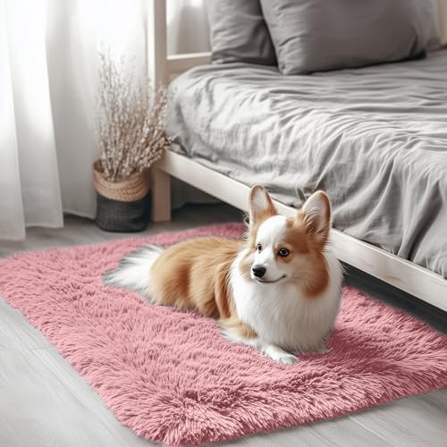 OLANLY 2x3 Machine Washable Small Bedside Rug, Soft Fluffy Shaggy Entryway Throw Rugs for Bedroom, Living Room, Indoor Floor Carpet for Kids Girls Boys, Nursery Rooms, Home Decor Aesthetic, Pale Pink