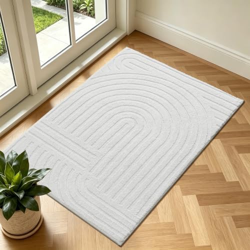 Pauwer 2x3 Area Rugs for Living Room, Modern Non Slip Washable Rug, White
