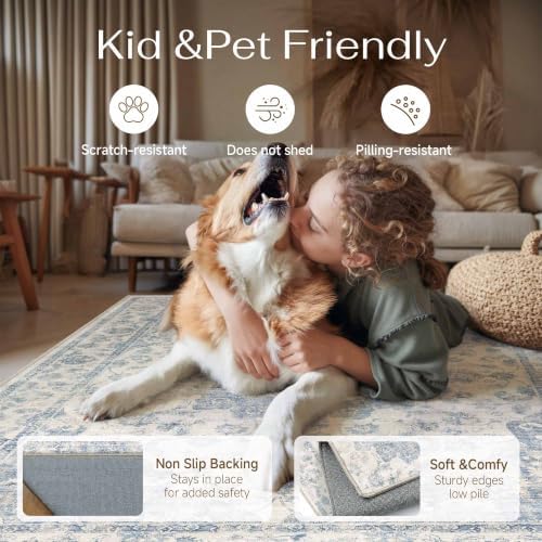 2x3 Blue Neutral Area Rug