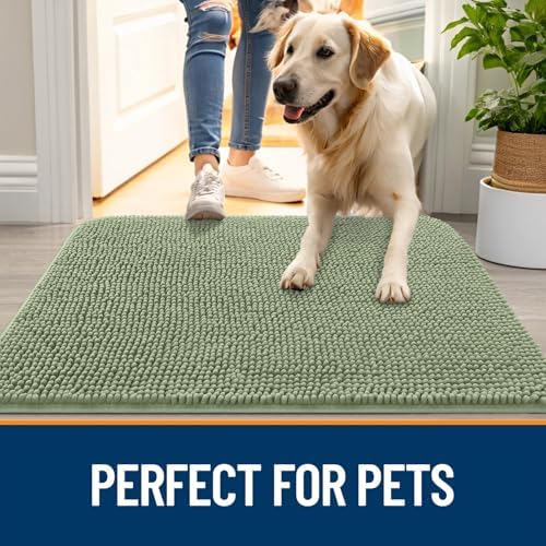 OLANLY Dog Door Mat for Muddy Paws 30x20, Super Absorbent Chenille Mud Mat