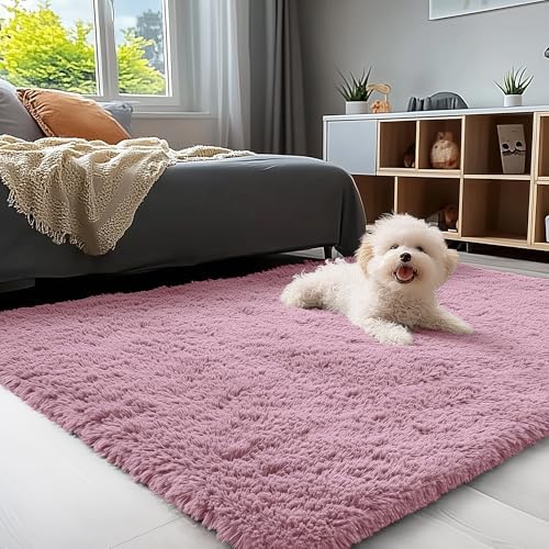 OLANLY 3x5 Machine Washable Small Bedside Rug, Soft Fluffy Shaggy Rugs for Living Room, Bedroom, Indoor Floor Carpet for Kids Girls and Boys, Preppy Dorms, Nursery, Home Decor Aesthetic, Blush