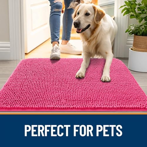 OLANLY Dog Door Mat for Muddy Paws 30x20, Super Absorbent Chenille Mud Mat