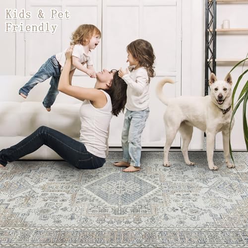 6x9 Washable Area Rugs for Living Room,Bedroom,Dining Room- Retro Taupe