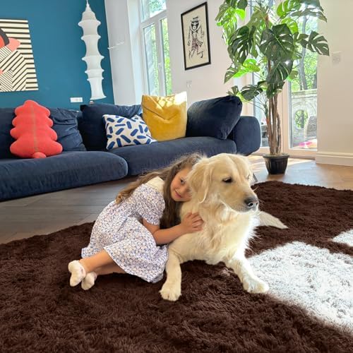 OLANLY Area Rugs for Living Room Bedroom, Machine Washable 4x5.9 ft Soft Fluffy Shaggy Bedside Rug, Indoor Floor Carpet for Kids Girls and Boys, Dorms, Nursery Rooms, Home Decor Aesthetic, Coffee