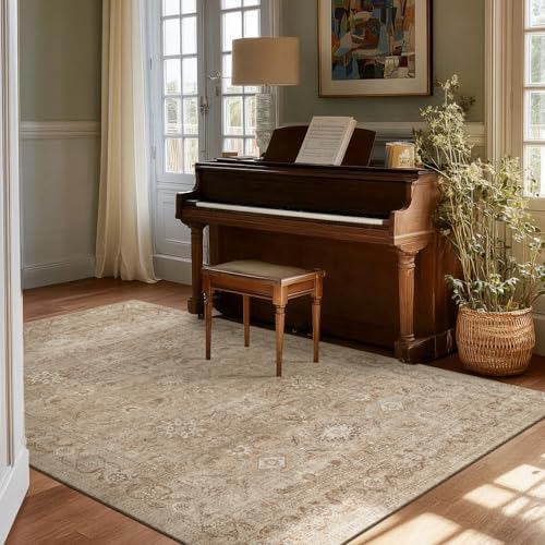 Washable Living Room Area Rugs: 4x6 Bedroom Rug Non Slip Soft Boho Carpet