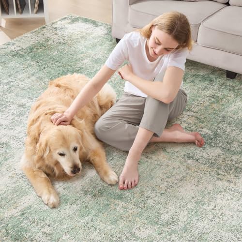DMOYEST Area Rug Living Room Rugs - 8x10 Washable Large Soft Indoor Neutral Modern Abstract Low Pile Rug Carpet for Bedroom Dining Room Farmhouse Home Office - Green Grey
