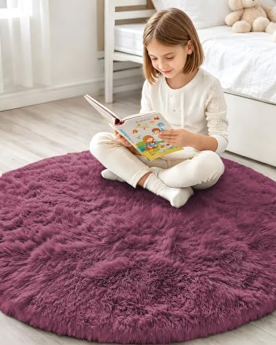 Smiry Round Area Rugs for Living Room Bedroom 4x4 ft, Fluffy Carpet