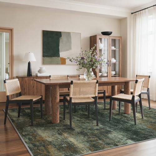 BEIMO 8x10 Area Rug for Bedroom, Smoky Green Washable Abstract Non Slip Rug