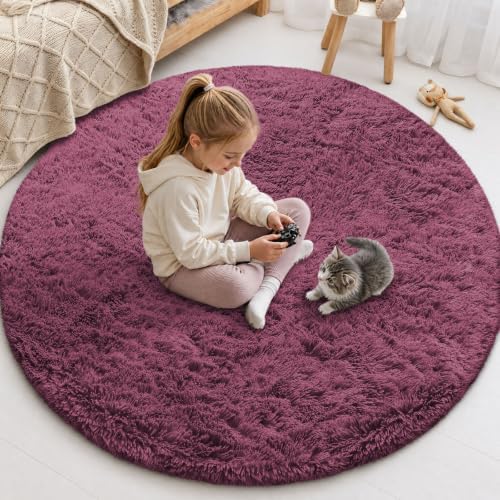 Smiry Round Area Rugs for Living Room Bedroom 5x5 ft, Fluffy Carpet