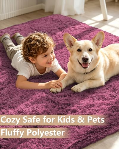 Smiry Round Area Rugs for Living Room Bedroom 4x4 ft, Fluffy Carpet