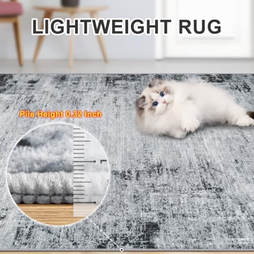 PLHXFR 10x12 Area Rug Living Room: Modern Abstract Washable Carpet Black