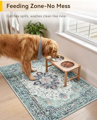 RELEANY Washable Area Rug, Small 2'x3', Teal Green/White/Navy