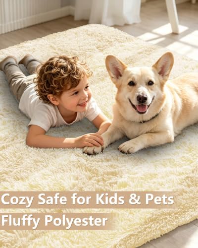 Smiry Round Area Rugs for Living Room Bedroom 2x2 ft, Fluffy Carpet