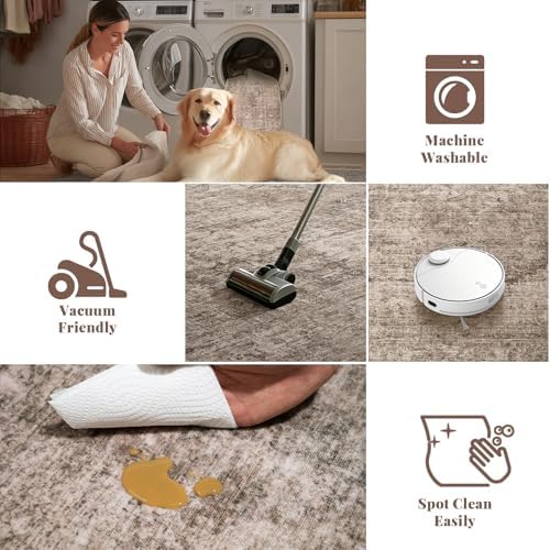 Washable Small Area Rugs for Entryway: 2x3 Door Mat Indoor Entrance