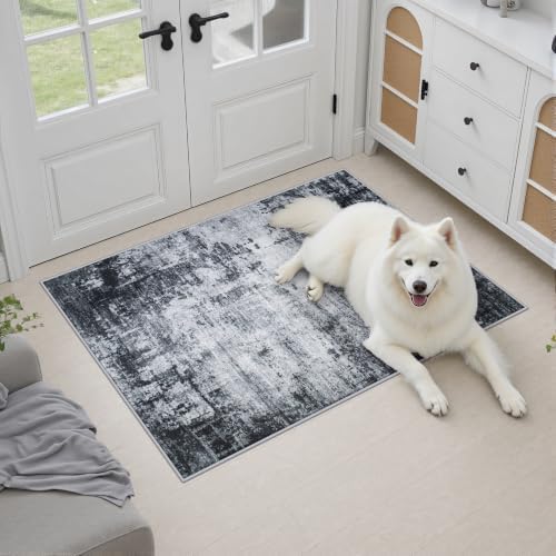2x3 Washable Entryway Rug: Modern Abstract Soft Carpet Dark Black
