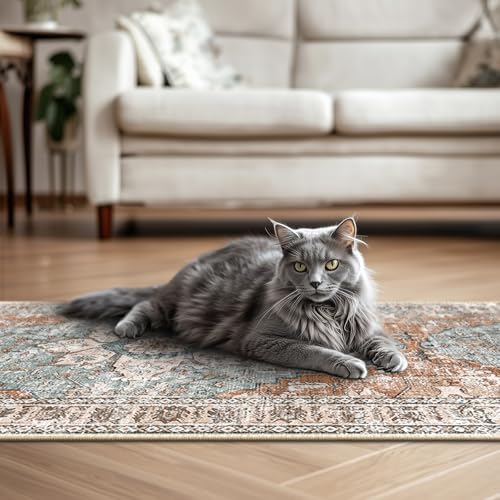 BESTSWEETIE 2x6 Area Rug Washable Rugs for Living Room, No Pile Boho Carpet for Entryway Bedroom Dinning Room, Vintage Carpet Print Distressed Non-Slip, 2 x 6 ft, Green Brick Rust Red