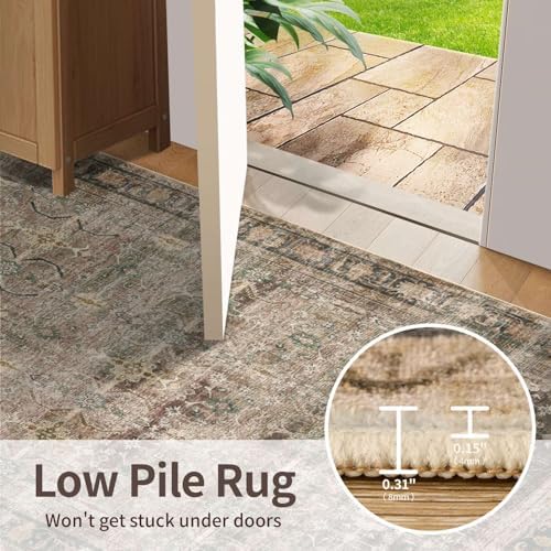 Rugxara Brown Area Rugs 5x7 Washable Rug for Living Room Bedroom