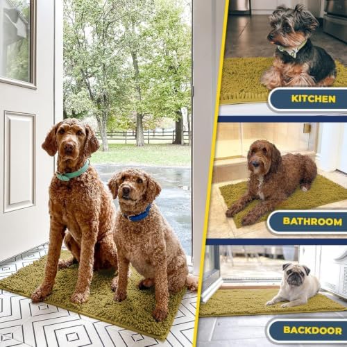 Muddy Mat® | Super Water Absorbent Door Mat Indoor, Microfiber Quick Dry Chenille Entryway Rug, Slip Resistant Front Door Mat, Indoor Mats for Entryway, Machine Washable Pet Rug, Mustard 2ft x 4ft