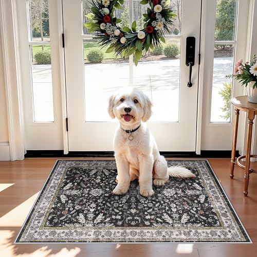 2x3 Rug Non-Slip Washable for Kitchen – Boho Small Throw Rug for Sink & Entryway, Soft Low Pile Thin Indoor Mat for Pet Area & Bathroom (Black, 2x3)