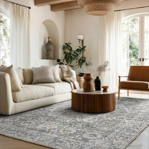 Machine Washable Rugs for Living Room: 5x7 Area Rugs for Bedroom