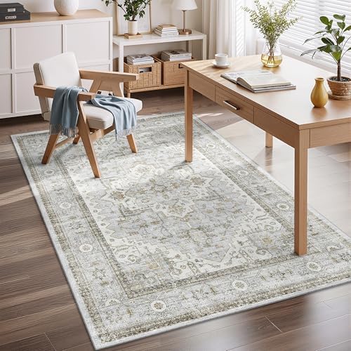 befbee Area Rugs for Living Room 3x5, Boho Non Slip Low Pile Carpet Blue
