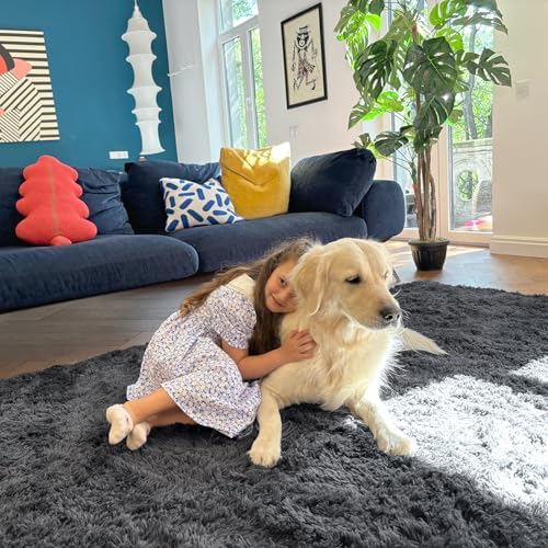 OLANLY 5x9 Machine Washable Large Area Rugs for Living Room, Bedroom, Soft Fluffy Shaggy Bedside Rug, Indoor Floor Carpet for Kids Girls and Boys, Dorms, Nursery, Home Decor Aesthetic, Grey