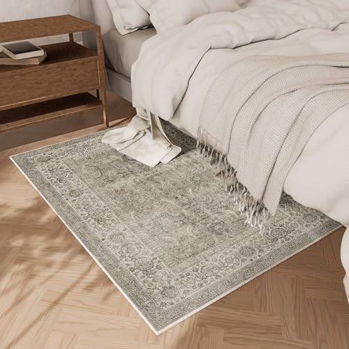 Machine Washable Small Rugs for Kitchen: Door Mat Indoor Entrance 2x3 Throw Rug Stain Resistant Non-Slip Low Pile Soft Carpets for Entryway Front Door Indoor Entrance Entry Bedroom