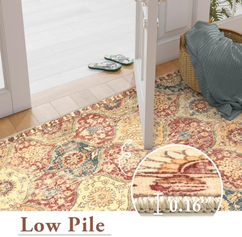 Lahome Moroccan Washable Rug, 2x3 Bathroom Rugs for Kitchen Entryway