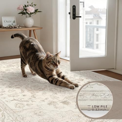 3x10 Hallway Washable Runner Rug: Kitchen Carpet Beige White