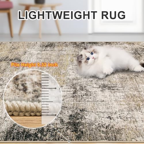 PLHXFR Area Rug Living Room: 5x7 Abstract Washable Carpet Brown Black
