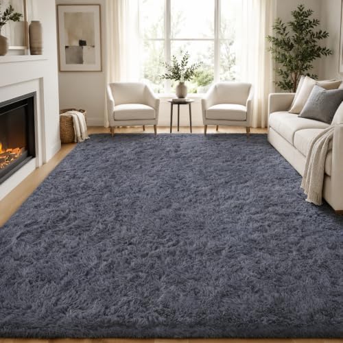 PLHXFR 6x9 Area Rugs Living Room: Fluffy Bedroom Rug Shag Carpet Grey