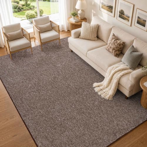 5x7 Brown/White Area Rug Non-Slip Washable Soft for Living Room Bedroom