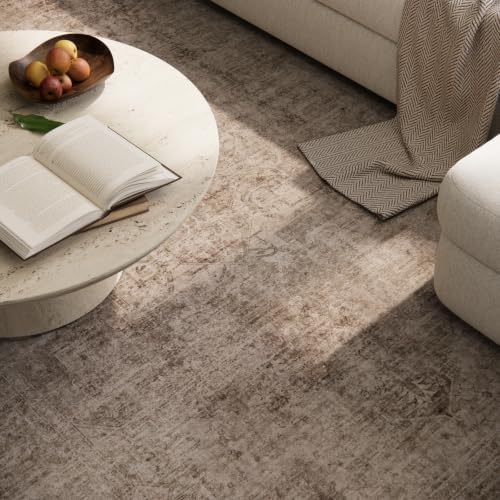 Washable Small Area Rugs for Entryway: 2x3 Door Mat Indoor Entrance