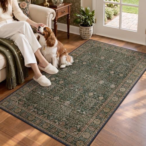 Bavni 3x5 Washable Area Rug for Living Room, Dark Green Brown