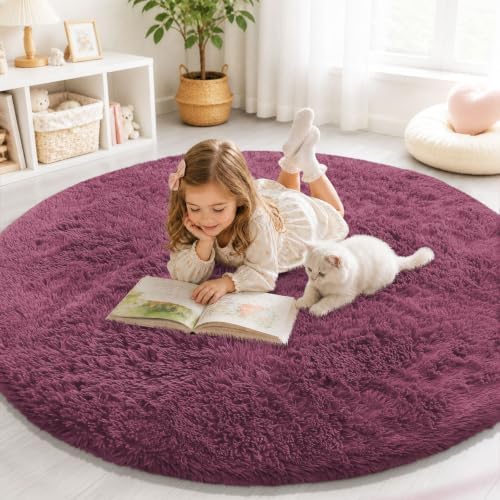 Smiry Round Area Rugs for Living Room Bedroom 4x4 ft, Fluffy Carpet