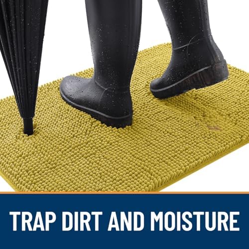 OLANLY Dog Door Mat for Muddy Paws 30x20, Super Absorbent Chenille Mud Mat