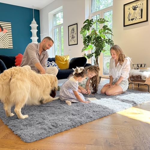 OLANLY 8x10 Machine Washable Large Area Rugs for Living Room, Bedroom, Soft Fluffy Shaggy Bedside Rug, Indoor Floor Carpet for Kids Girls and Boys, Dorms, Nursery, Home Decor Aesthetic, Light Grey