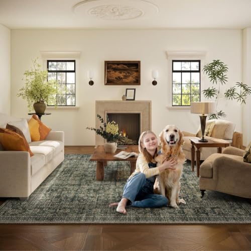 Washable Living Room Area Rug: 8x10 Rugs for Bedroom Non Slip Large Carpet