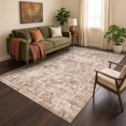 Homemate Washable Rug 5x7 Area Rugs - Vintage Rugs for Living Room