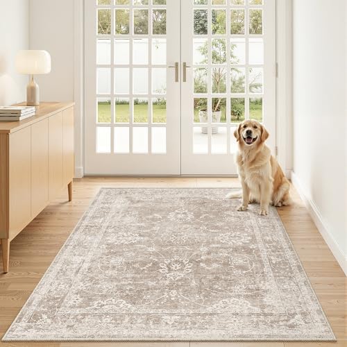 Madane 3x5 Area Rugs for Entryway, Washable Neutral Soft Rugs Brown/Sand