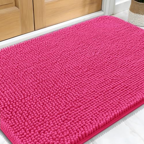 OLANLY Dog Door Mat for Muddy Paws 30x20, Super Absorbent Chenille Mud Mat