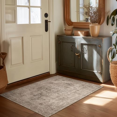 Washable Small Area Rugs for Entryway: 2x3 Door Mat Indoor Entrance