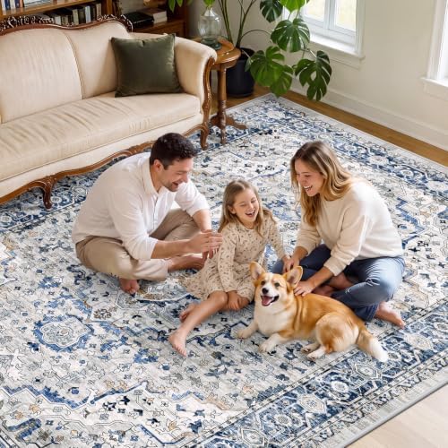 SameBed 5x7 Area Rug Living Room, Vintage Washable Carpet Light Blue