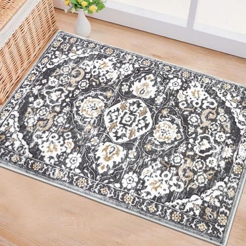 HEBE Indoor Door Mat 2'x3', Washable Welcome Mat for Front Door Entrance