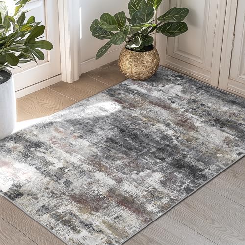 BEIMO 2x3 Area Rugs for Entryway, Dark Grey Washable Abstract Non Slip Rug