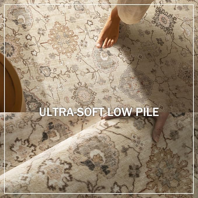 Machine Washable Rug for Living Room: 8x10 Area Rugs Boho Vintage Rug Stain Resistant Non Slip Low Pile Soft Lightweight Carpets for Bedroom Kitchen Dining Room Nursery Kids Room Farmhouse