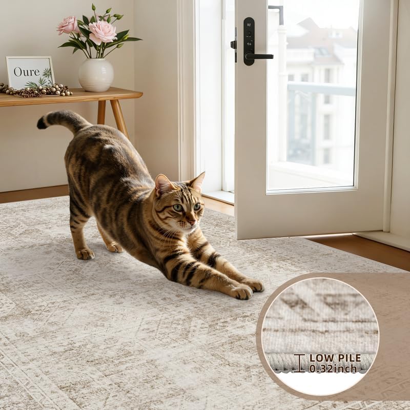 5x7 Area Rugs Living Room: Bedroom Neutral Washable Carpet Brown